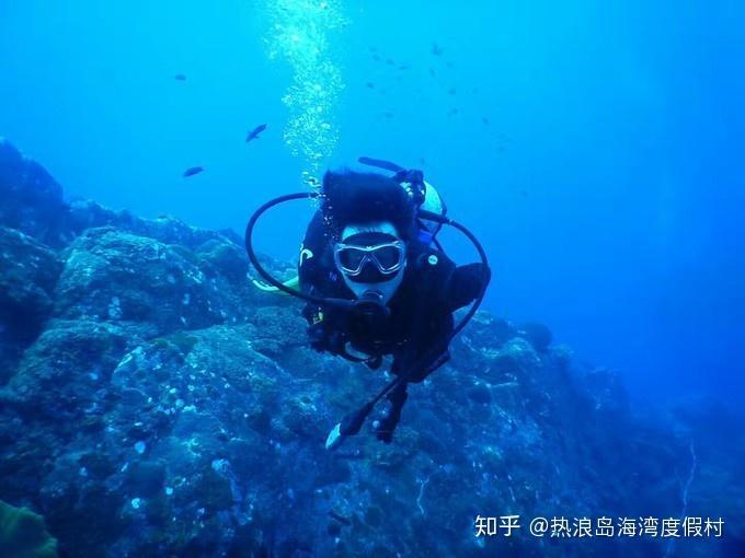 贝乐虎英语启蒙早教儿歌《What Do You Want To Be》